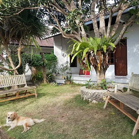 Green Tara Nature Lodge & Yoga